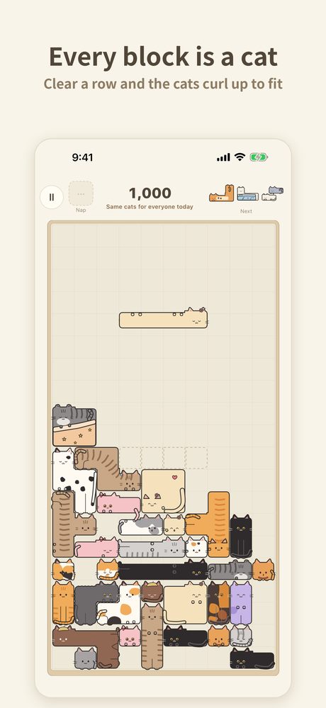 Every block is a cat: a board full of cats
